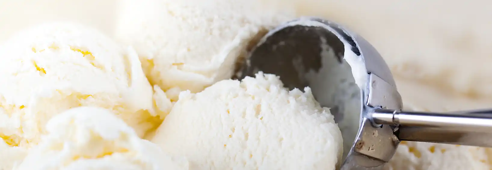 Ice Cream Made with Cottage Cheese