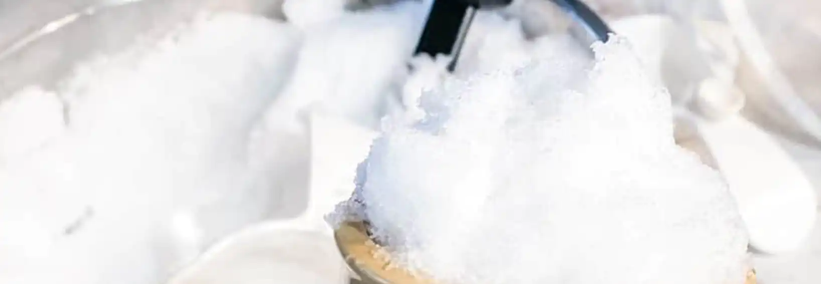 Homemade snow ice cream